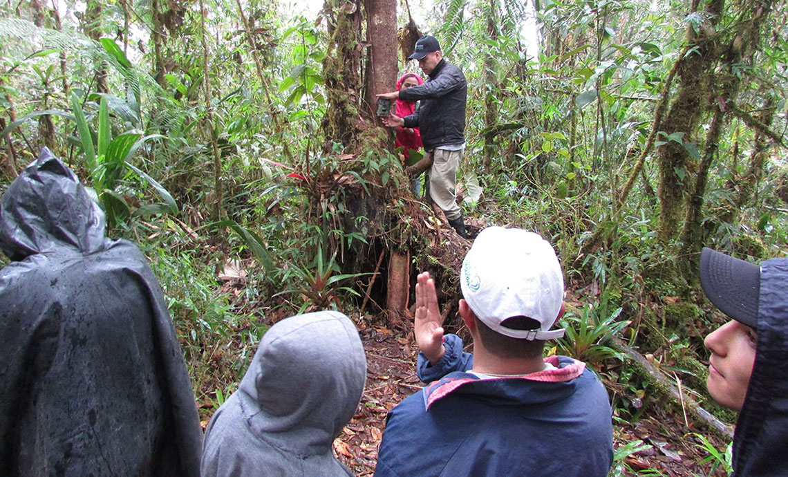 Group of people exploring in the rain forest.
