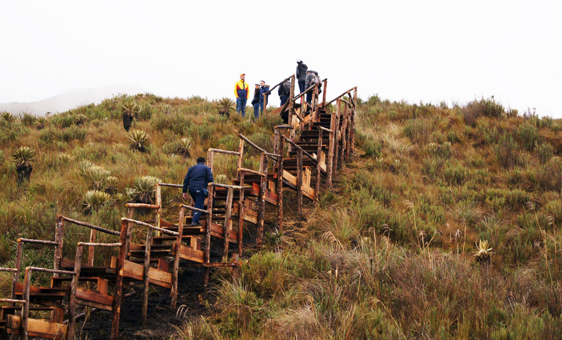 Workers climb steps of the wooden walkway in the páramo.