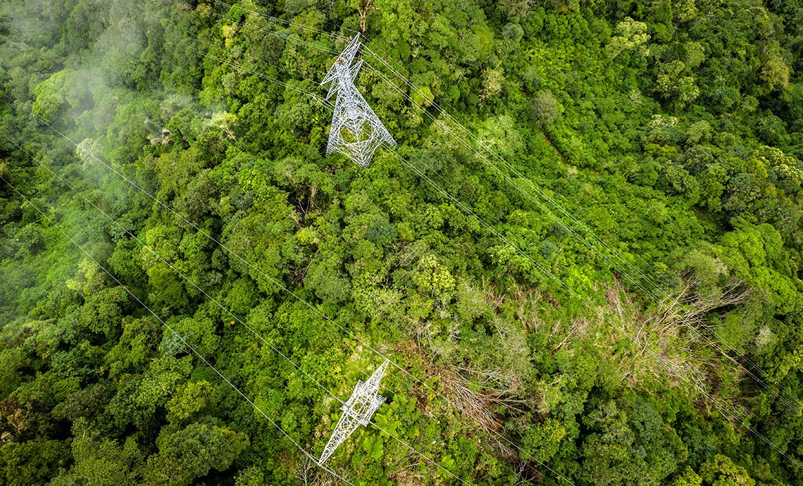 view of an electricity tower amidst trees on a mountain.