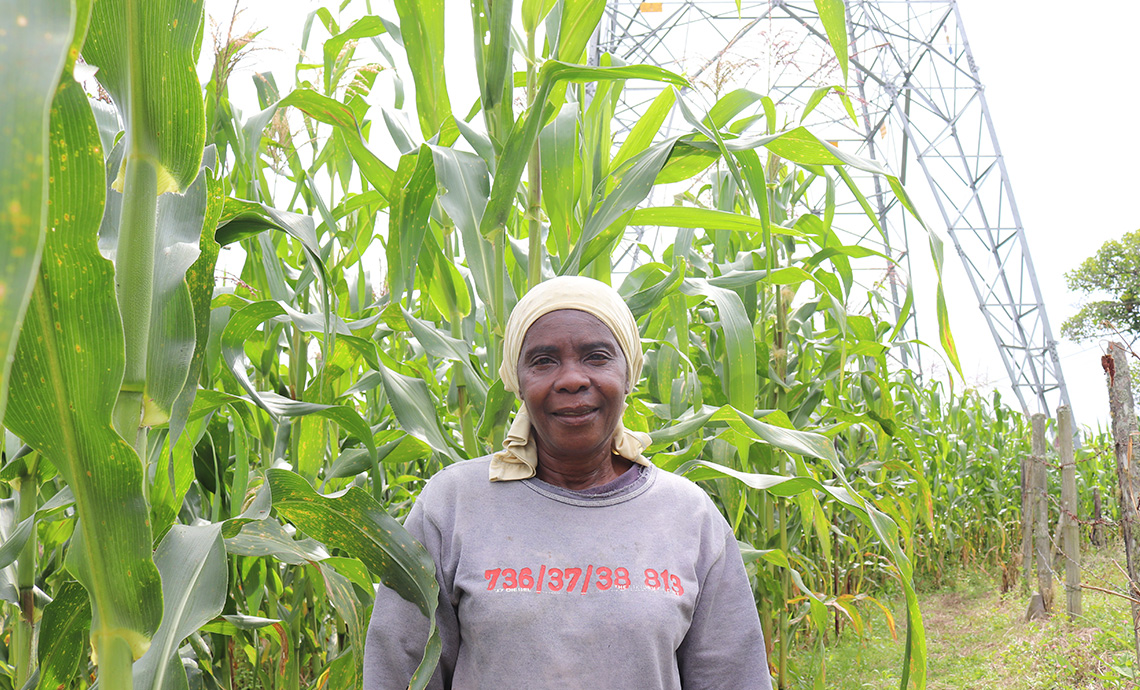 Afro-Colombian woman from an ethnic community in the middle of a plantain plantation.